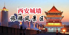 老头大鸡鸡日逼中国陕西-西安城墙旅游风景区